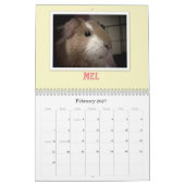 Guinee Pigs 2013 Kalender (Feb 2027)