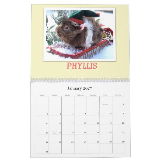 Guinee Pigs 2013 Kalender (Jan 2027)