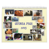 Guinee Pigs 2013 Kalender (Hoes)
