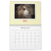 Guinee Pigs 2013 Kalender (Feb 2026)