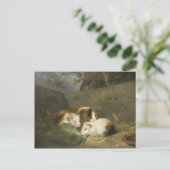 Guinee Pigs (door George Morland) Briefkaart (Staand voorkant)