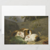 Guinee Pigs (door George Morland) Briefpapier (Voorkant / Achterkant)