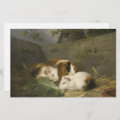 Guinee Pigs (door George Morland) Briefpapier (Voorkant / Achterkant)