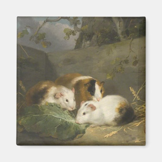 Guinee Pigs (door George Morland) Magneet (Voorkant)