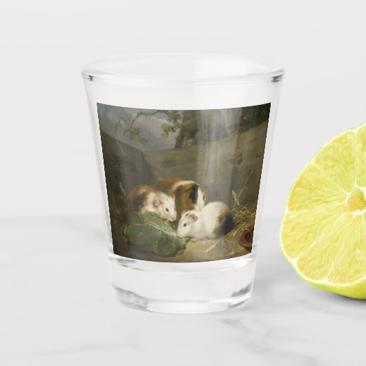 Guinee Pigs (door George Morland) Shot Glas (Voorkant)