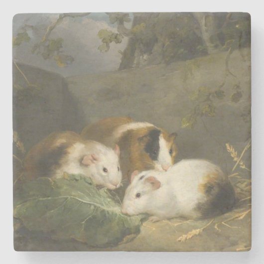 Guinee Pigs (door George Morland) Stenen Onderzetter (Voorkant)