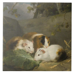 Guinee Pigs (door George Morland) Tegeltje
