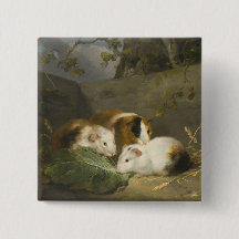 Guinee Pigs (door George Morland)