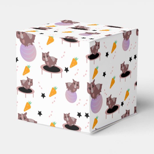 Guinee Pigs Fitness Gym Bedankdoosjes (Achterkant)