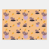 Guinee Pigs Fitness Gym Inpakpapier Vel (Voorkant)