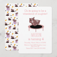 Guinee Pigs Fitness Gym