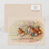 Guinee-Pigs in de tuin Briefkaart (Voorkant / Achterkant)