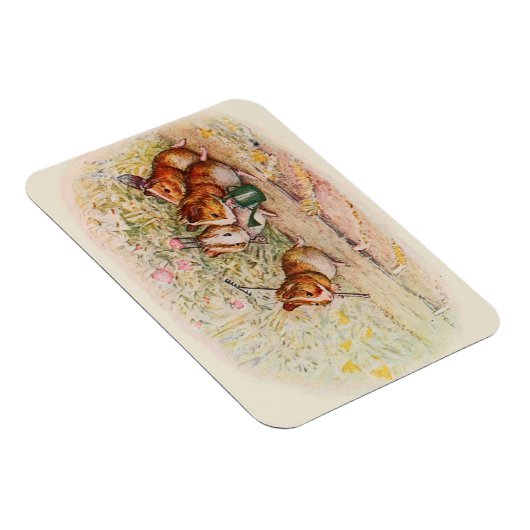 Guinee-Pigs in de tuin Magneet (Rechterzijde)