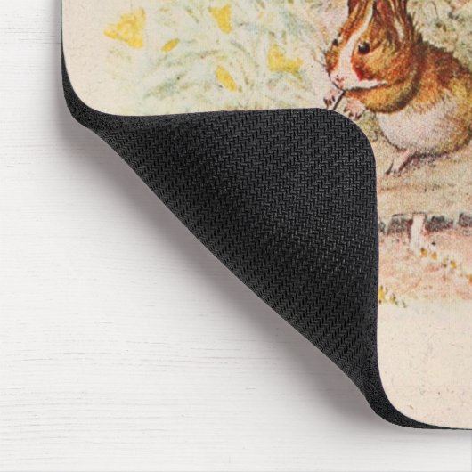 Guinee-Pigs in de tuin Muismat (Hoek)