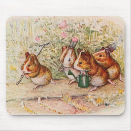 Guinee-Pigs in de tuin Muismat