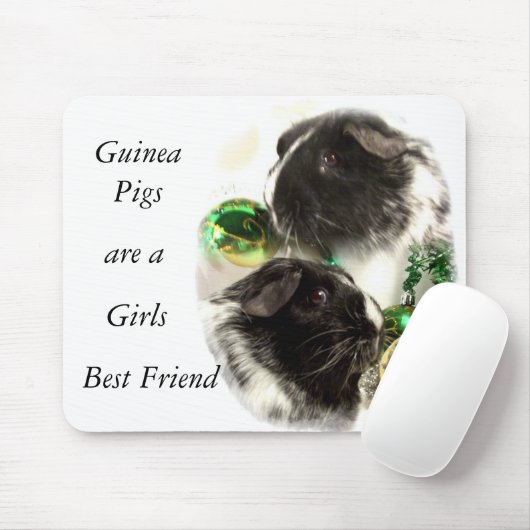 Guinee Pigs is een meisje met de beste vriendin Muismat (Met muis)