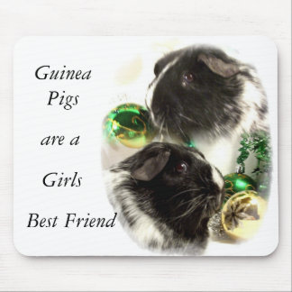 Guinee Pigs is een meisje met de beste vriendin Muismat