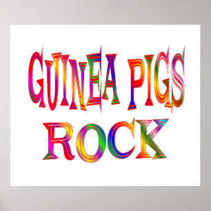 Guinee Pigs Rock Poster