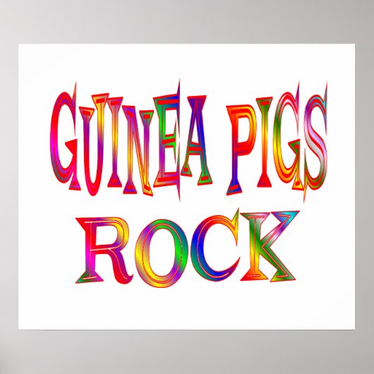Guinee Pigs Rock Poster (Voorkant)