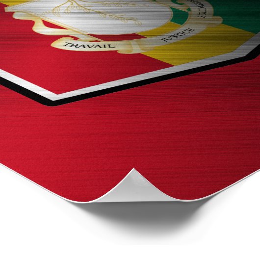 Guinee Poster (Hoek)