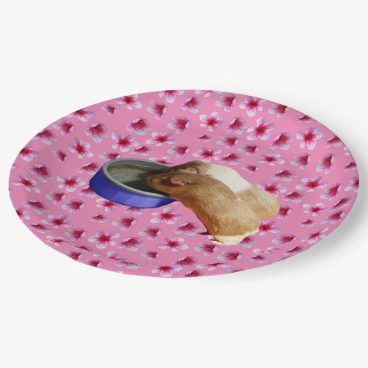 Guinee stijgt op roze bloesems, papieren bordje (Gekanteld)