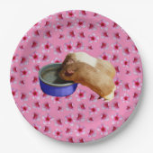 Guinee stijgt op roze bloesems, papieren bordje (Voorkant)