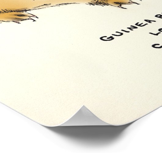 guinee trivia poster (Hoek)