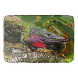 Guinee Turaco bij de waterval Badmat