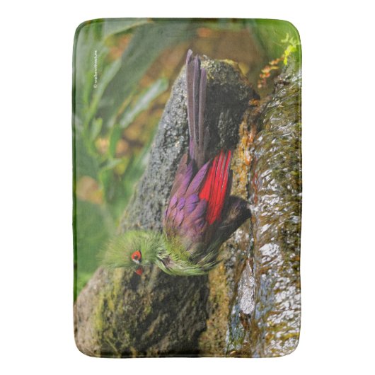 Guinee Turaco bij de waterval Badmat (Voorkant Verticaal)