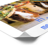 Guinee-varkens Poster (Hoek)