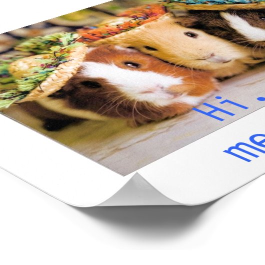 Guinee-varkens Poster (Hoek)