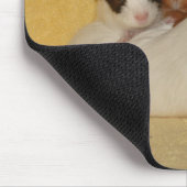 Guinee-Varkenshamfamilie Mousepad Muismat (Hoek)