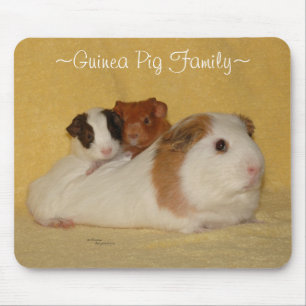 Guinee-Varkenshamfamilie Mousepad Muismat