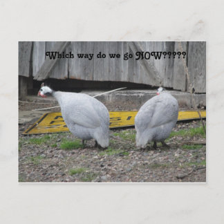 Guinee, welke weg moeten we nu gaan? briefkaart