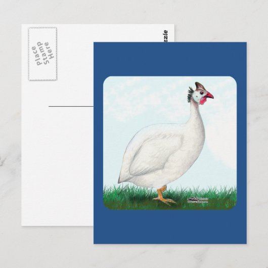 Guinee White Briefkaart (Voorkant / Achterkant)