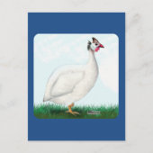 Guinee White Briefkaart (Voorkant)