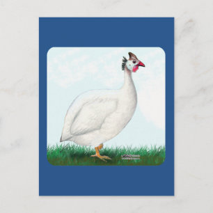 Guinee White Briefkaart