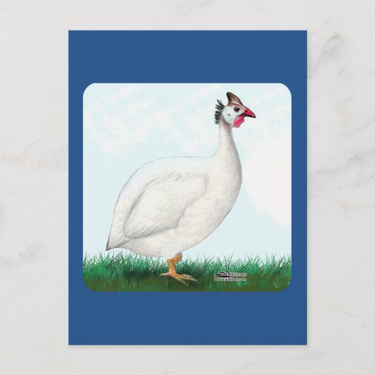 Guinee White Briefkaart (Voorkant)