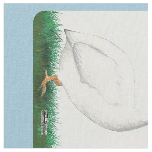 Guinee White Stof (Close Up)