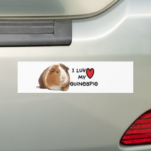 Guinese Bumpersticker "Ik hou van Mijn Guineeërs" (Op auto)