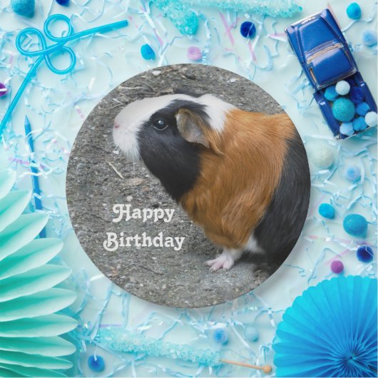 Guinese foto Birthday Papieren Bordje (Feest)