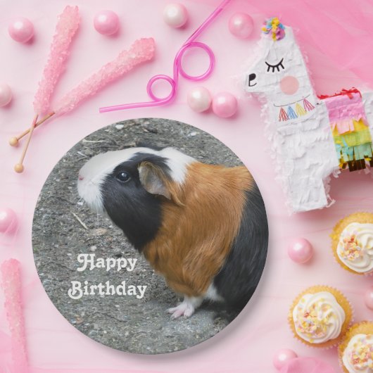 Guinese foto Birthday Papieren Bordje (Feest)