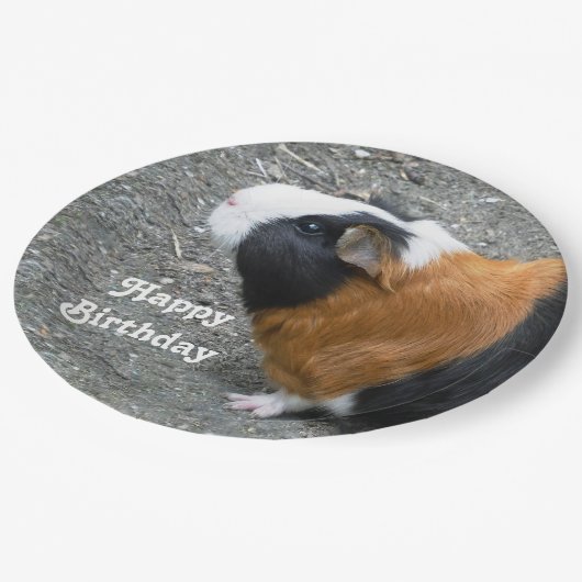 Guinese foto Birthday Papieren Bordje (Gekanteld)