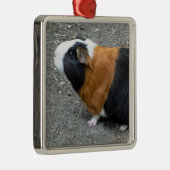 Guinese foto met kerstmis metalen ornament (Rechts)