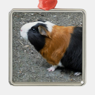 Guinese foto met kerstmis metalen ornament