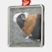 Guinese foto met kerstmis metalen ornament (Links)