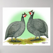 Guinese: Frans Poster (Voorkant)