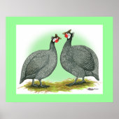 Guinese: Frans Poster (Voorkant)