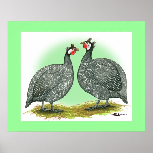 Guinese: Frans Poster (Voorkant)