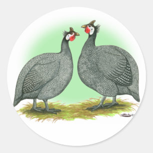 Guinese: Frans Ronde Sticker